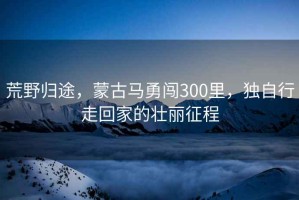 荒野歸途，蒙古馬勇闖300里，獨自行走回家的壯麗征程