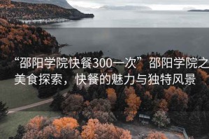 “邵陽學(xué)院快餐300一次”邵陽學(xué)院之美食探索，快餐的魅力與獨(dú)特風(fēng)景