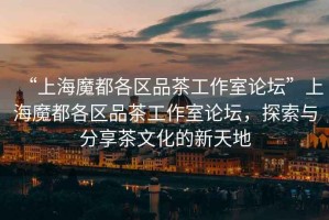 “上海魔都各區品茶工作室論壇”上海魔都各區品茶工作室論壇，探索與分享茶文化的新天地