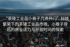 “茶陵工業品小巷子幾點開門”科技繁榮下的茶陵工業品市場，小巷子背后的商業活力與開放時間的探索