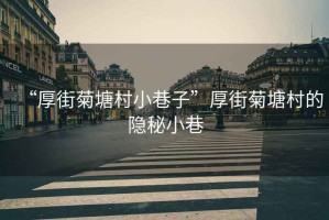 “厚街菊塘村小巷子”厚街菊塘村的隱秘小巷