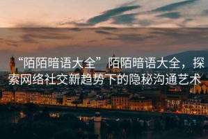 “陌陌暗語大全”陌陌暗語大全，探索網(wǎng)絡社交新趨勢下的隱秘溝通藝術