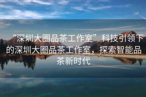 “深圳大圈品茶工作室”科技引領(lǐng)下的深圳大圈品茶工作室，探索智能品茶新時(shí)代