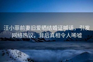 汪小菲前妻舊愛曬結婚證喊話，引發(fā)網(wǎng)絡熱議，背后真相令人唏噓