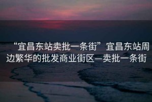 “宜昌東站賣批一條街”宜昌東站周邊繁華的批發商業街區—賣批一條街