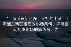 “上海浦東新區晚上賣批的小巷”上海浦東新區夜晚的小巷風情，探尋夜間批發市場的繁華與活力