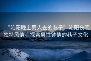 “沁陽晚上男人去的巷子”沁陽夜間獨特風情，探索男性鐘情的巷子文化