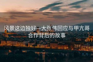 風景這邊獨好—大張偉回應與甲亢哥合作背后的故事