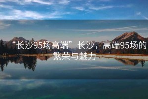 “長沙95場高端”長沙，高端95場的繁榮與魅力