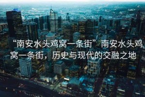 “南安水頭雞窩一條街”南安水頭雞窩一條街，歷史與現代的交融之地
