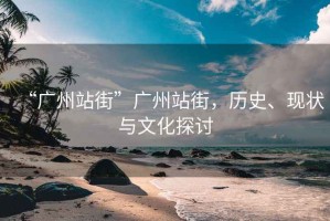 “廣州站街”廣州站街，歷史、現(xiàn)狀與文化探討