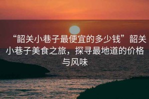 “韶關小巷子最便宜的多少錢”韶關小巷子美食之旅，探尋最地道的價格與風味