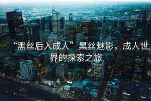 “黑絲后入成人”黑絲魅影，成人世界的探索之旅