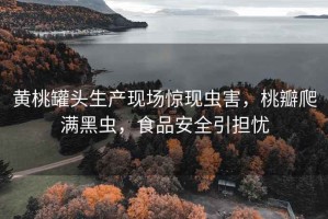 黃桃罐頭生產(chǎn)現(xiàn)場(chǎng)驚現(xiàn)蟲害，桃瓣爬滿黑蟲，食品安全引擔(dān)憂