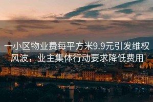 一小區物業費每平方米9.9元引發維權風波，業主集體行動要求降低費用