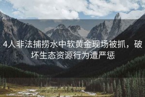 4人非法捕撈水中軟黃金現場被抓，破壞生態資源行為遭嚴懲
