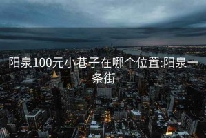 陽泉100元小巷子在哪個位置:陽泉一條街