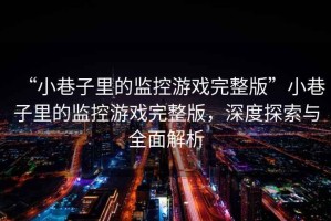 “小巷子里的監控游戲完整版”小巷子里的監控游戲完整版，深度探索與全面解析