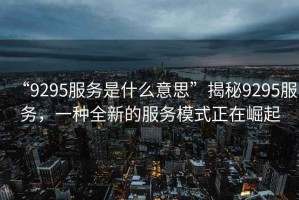 “9295服務是什么意思”揭秘9295服務，一種全新的服務模式正在崛起