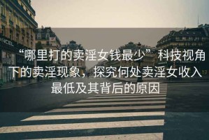 “哪里打的賣淫女錢最少”科技視角下的賣淫現象，探究何處賣淫女收入最低及其背后的原因