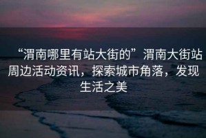 “渭南哪里有站大街的”渭南大街站周邊活動資訊，探索城市角落，發現生活之美