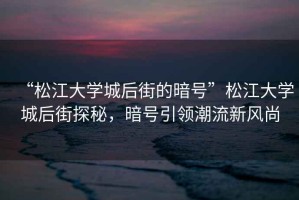 “松江大學(xué)城后街的暗號”松江大學(xué)城后街探秘，暗號引領(lǐng)潮流新風(fēng)尚