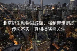 北京野生動物園辟謠，強制帶走鸚鵡傳聞不實，真相揭曉引關注