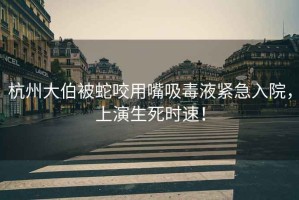 杭州大伯被蛇咬用嘴吸毒液緊急入院，上演生死時速！