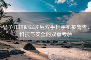 男子開輔助駕駛后雙手玩手機被警告，科技與安全的雙重考驗