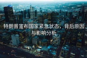 特朗普宣布國家緊急狀態，背后原因與影響分析
