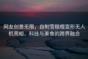 網友創意無限，自制雪糕棍變形無人機亮相，科技與美食的跨界融合