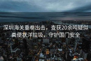 深圳海關(guān)重拳出擊，查獲20余噸疑似糞便狀洋垃圾，守護(hù)國(guó)門(mén)安全