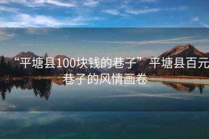 “平塘縣100塊錢的巷子”平塘縣百元巷子的風情畫卷