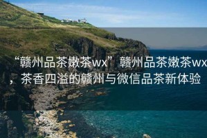 “贛州品茶嫩茶wx”贛州品茶嫩茶wx，茶香四溢的贛州與微信品茶新體驗(yàn)