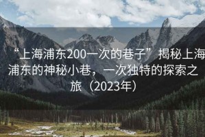 “上海浦東200一次的巷子”揭秘上海浦東的神秘小巷，一次獨特的探索之旅（2023年）