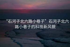 “石河子北六路小巷子”石河子北六路小巷子的科技新風貌