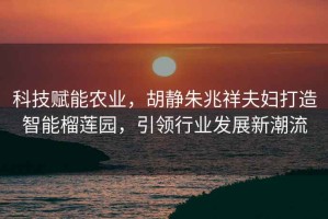 科技賦能農(nóng)業(yè)，胡靜朱兆祥夫婦打造智能榴蓮園，引領行業(yè)發(fā)展新潮流