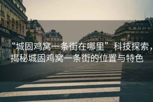 “城固雞窩一條街在哪里”科技探索，揭秘城固雞窩一條街的位置與特色