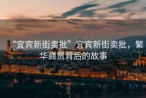 “宜賓新街賣批”宜賓新街賣批，繁華商貿背后的故事
