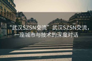 “武漢SZSN交流”武漢SZSN交流，一座城市與技術的深度對話