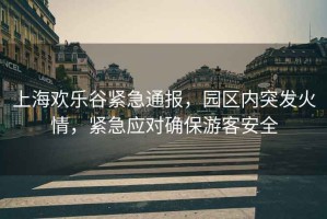 上海歡樂谷緊急通報，園區內突發火情，緊急應對確保游客安全