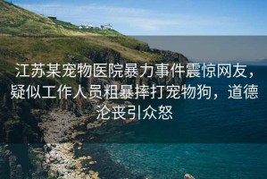 江蘇某寵物醫院暴力事件震驚網友，疑似工作人員粗暴摔打寵物狗，道德淪喪引眾怒
