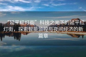 “延平紅燈街”科技之光下的延平紅燈街，探索智能監(jiān)控與夜間經(jīng)濟(jì)的新篇章