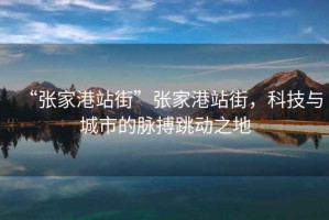 “張家港站街”張家港站街，科技與城市的脈搏跳動之地