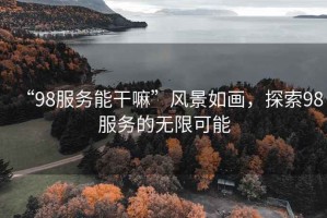 “98服務(wù)能干嘛”風(fēng)景如畫，探索98服務(wù)的無(wú)限可能