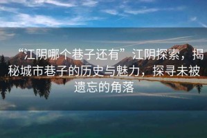 “江陰哪個巷子還有”江陰探索，揭秘城市巷子的歷史與魅力，探尋未被遺忘的角落