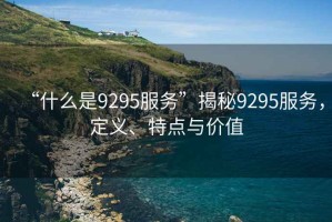 “什么是9295服務”揭秘9295服務，定義、特點與價值