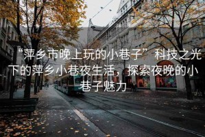 “萍鄉市晚上玩的小巷子”科技之光下的萍鄉小巷夜生活，探索夜晚的小巷子魅力