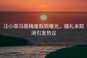 汪小菲馬筱梅度假照曝光，婚禮未取消引發熱議
