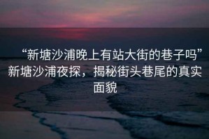 “新塘沙浦晚上有站大街的巷子嗎”新塘沙浦夜探，揭秘街頭巷尾的真實面貌